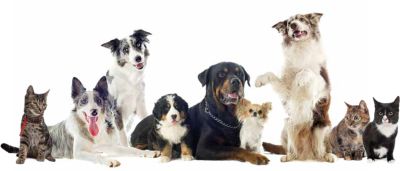 Produktkatalog Produktkatalog